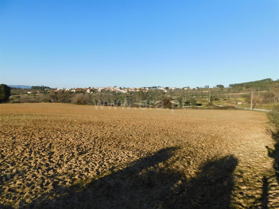 Helårsgrund i Belmonte, Castelo Branco - foto 2
