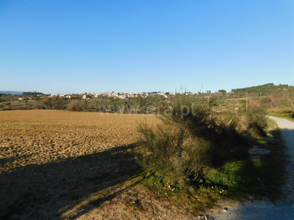 Helårsgrund i Belmonte, Castelo Branco - foto 3