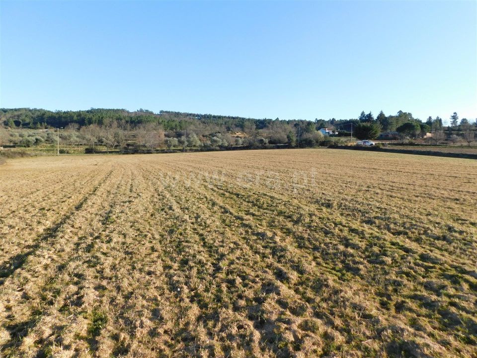 Helårsgrund i Belmonte, Castelo Branco - foto 5