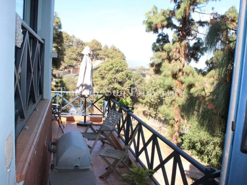 Finca i La Guancha, Tenerife - foto 3