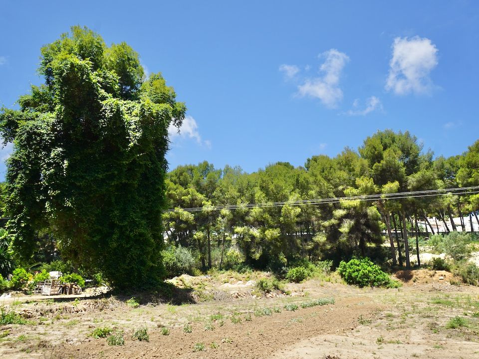 Helårsgrund i Moraira, Alicante - foto 3