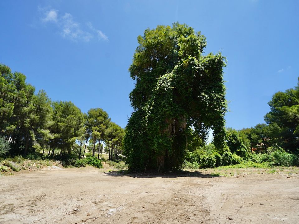 Helårsgrund i Moraira, Alicante - foto 5