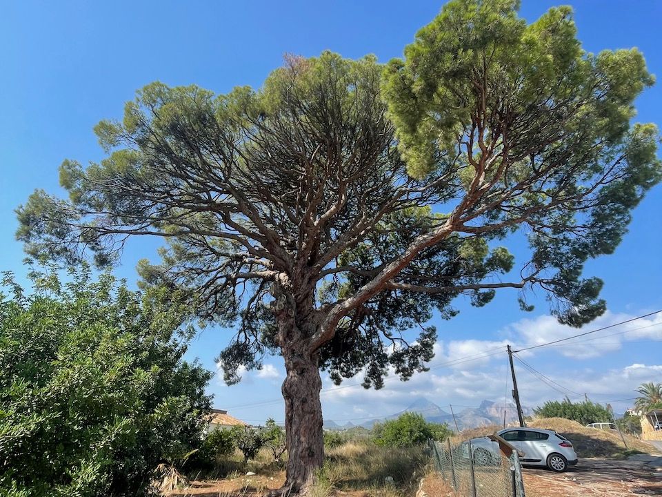 Grond in Altea, Alicante - foto 3