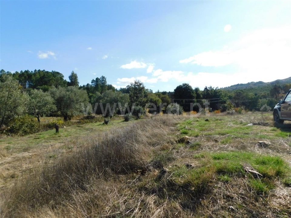 Helårsgrund i Fundao, Castelo Branco - foto 1
