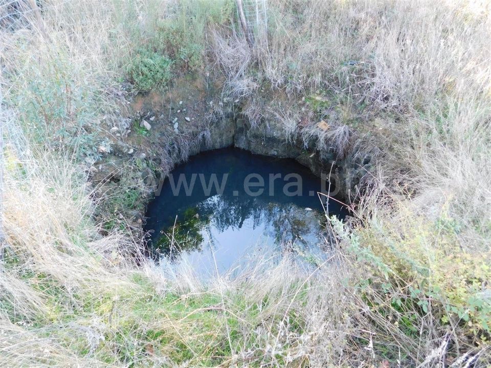 Helårsgrund i Fundao, Castelo Branco - foto 5