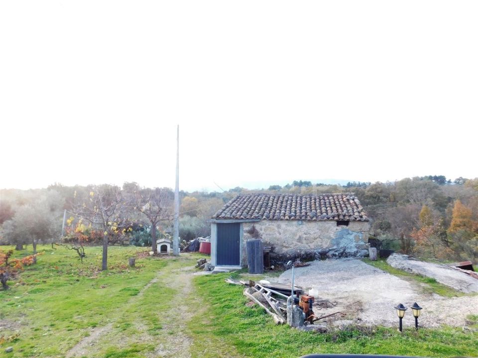 Farm i Fundao, Castelo Branco - foto 1