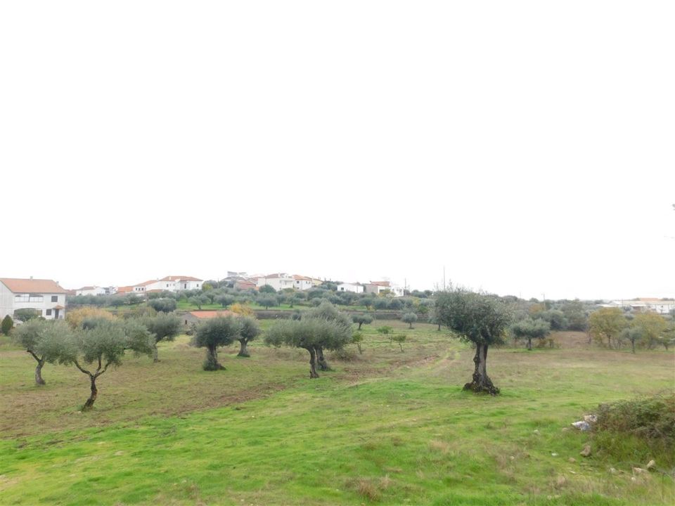 Farm i Fundao, Castelo Branco - foto 3