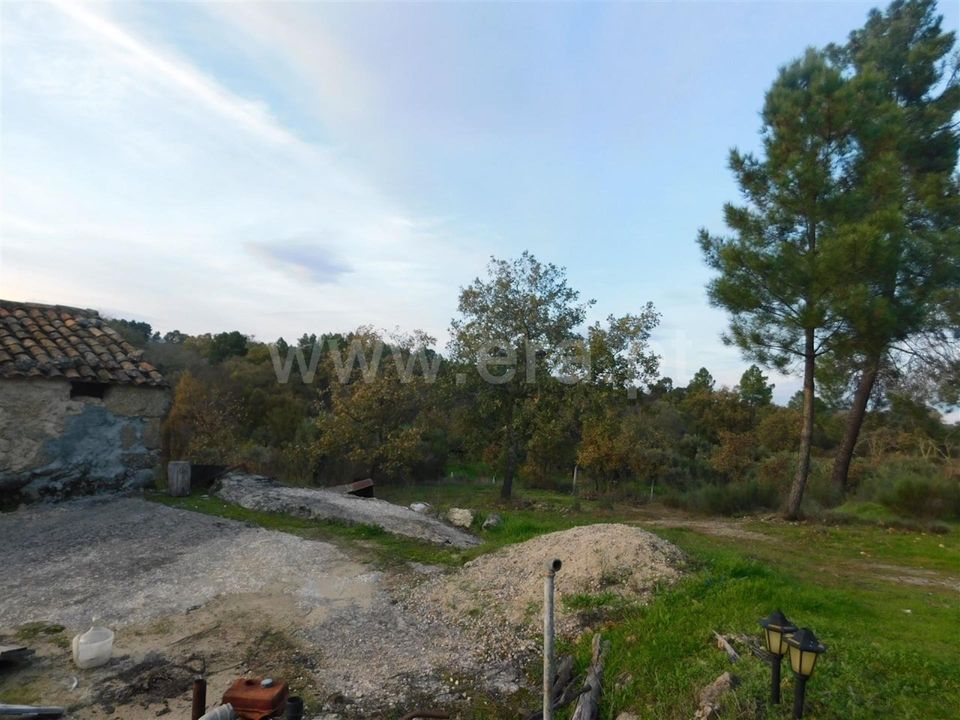 Farm i Fundao, Castelo Branco - foto 4