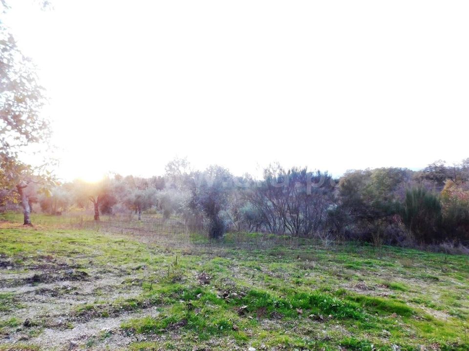 Farm i Fundao, Castelo Branco - foto 5