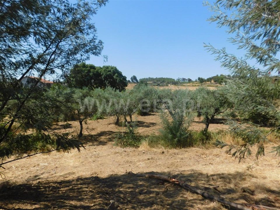 Gård i Fundao, Castelo Branco - bilde 1