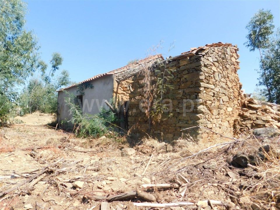 Gård i Fundao, Castelo Branco - bilde 2