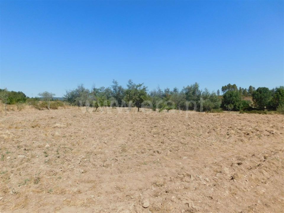 Gård i Fundao, Castelo Branco - bilde 3