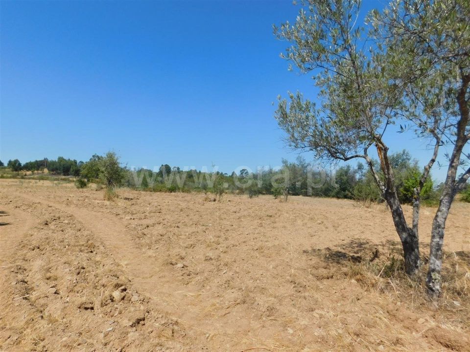 Gård i Fundao, Castelo Branco - bilde 4