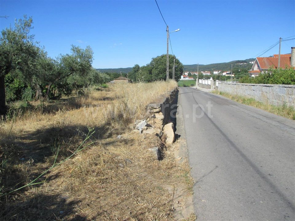 Helårsgrund i Fundao, Castelo Branco - foto 5