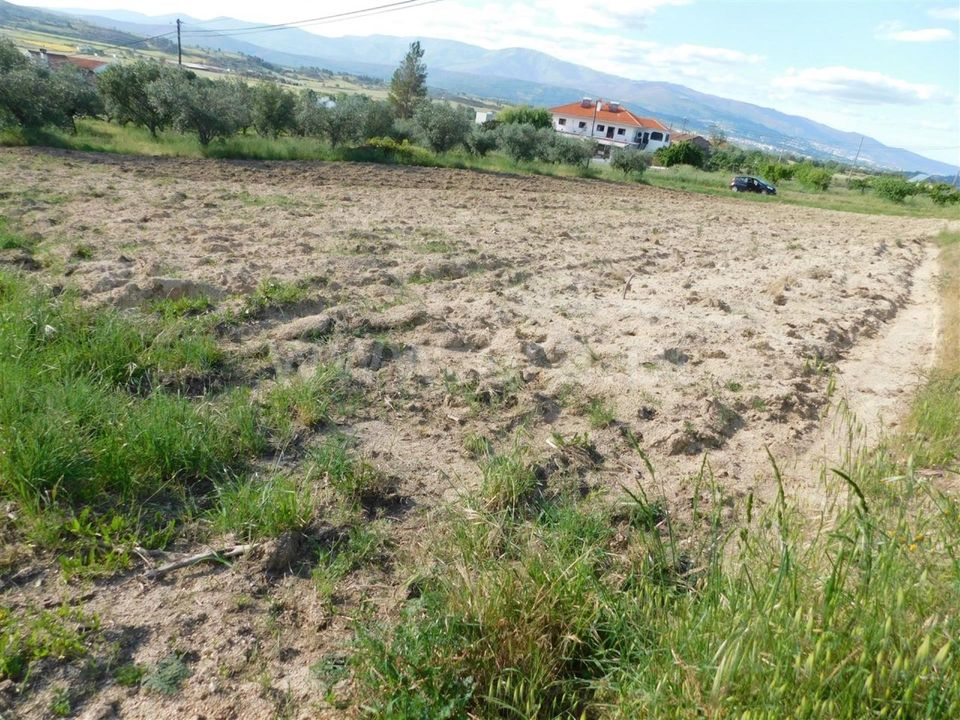 Tomt i Fundao, Castelo Branco - bilde 2