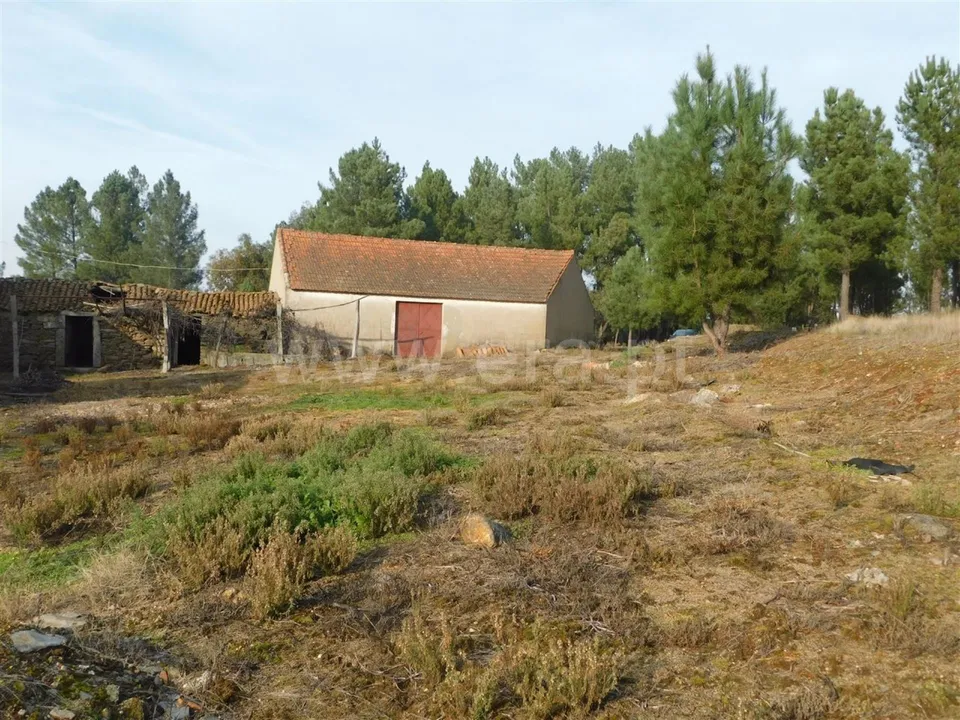 Herregård i Fundao, Castelo Branco - bilde 1