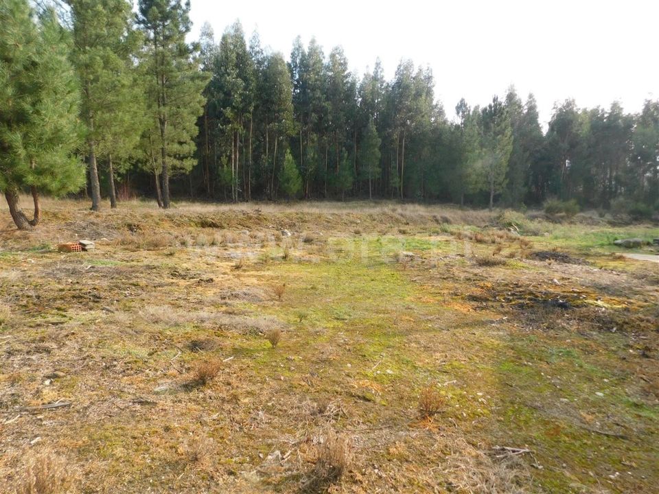 Herregård i Fundao, Castelo Branco - bilde 5