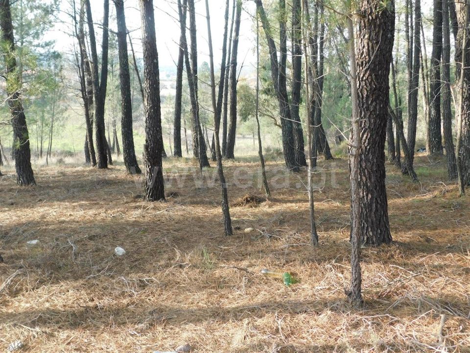 Helårsgrund i Fundao, Castelo Branco - foto 2