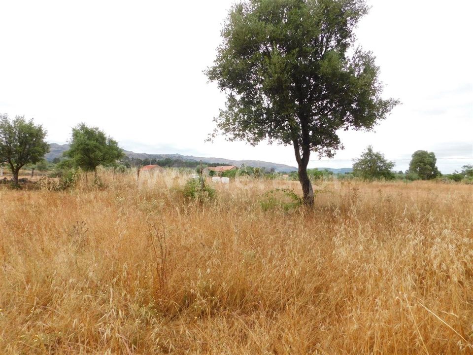 Helårsgrund i Fundao, Castelo Branco - foto 1