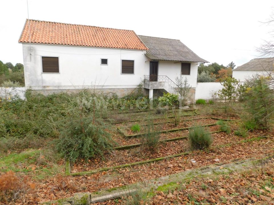 Farm i Fundao, Castelo Branco - foto 4