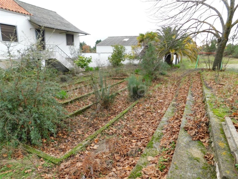 Farm i Fundao, Castelo Branco - foto 5