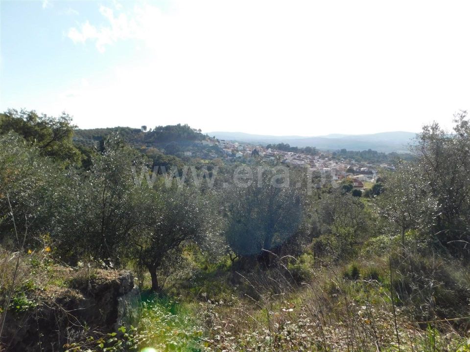 Helårsgrund i Fundao, Castelo Branco - foto 1