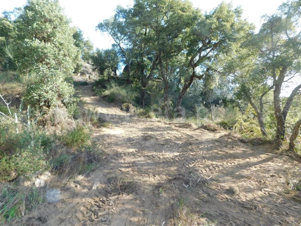 Helårsgrund i Fundao, Castelo Branco - foto 4