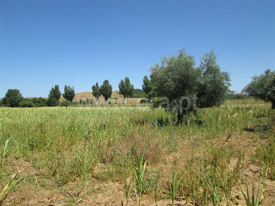 Farm i Fundao, Castelo Branco - foto 1