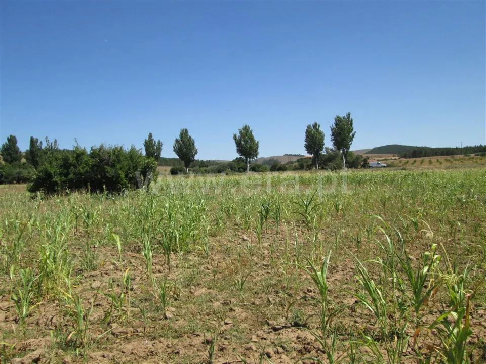 Farm i Fundao, Castelo Branco - foto 2