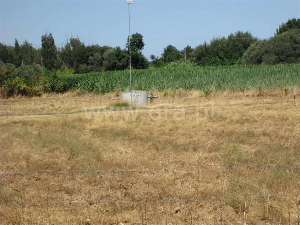 Farm i Fundao, Castelo Branco - foto 3