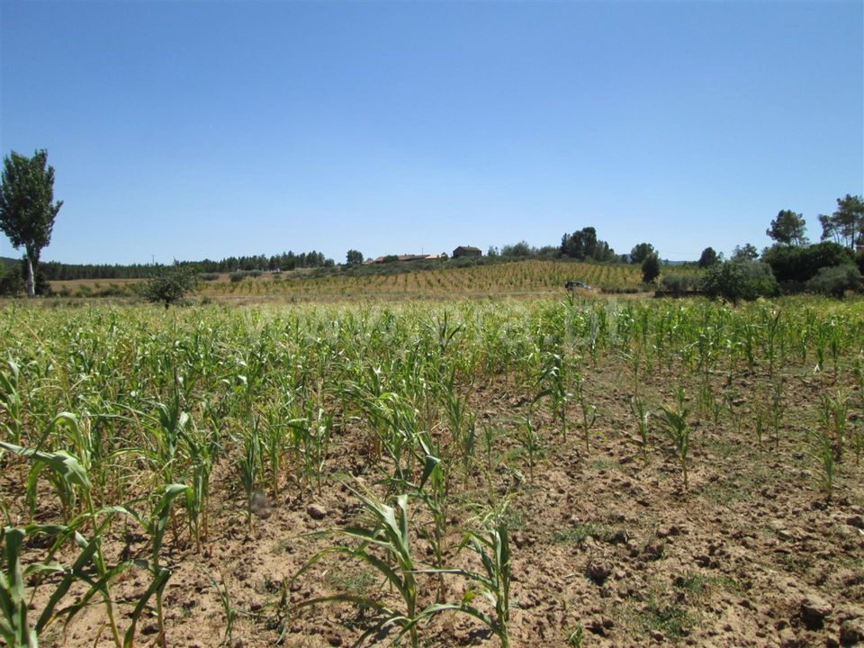 Farm i Fundao, Castelo Branco - foto 4