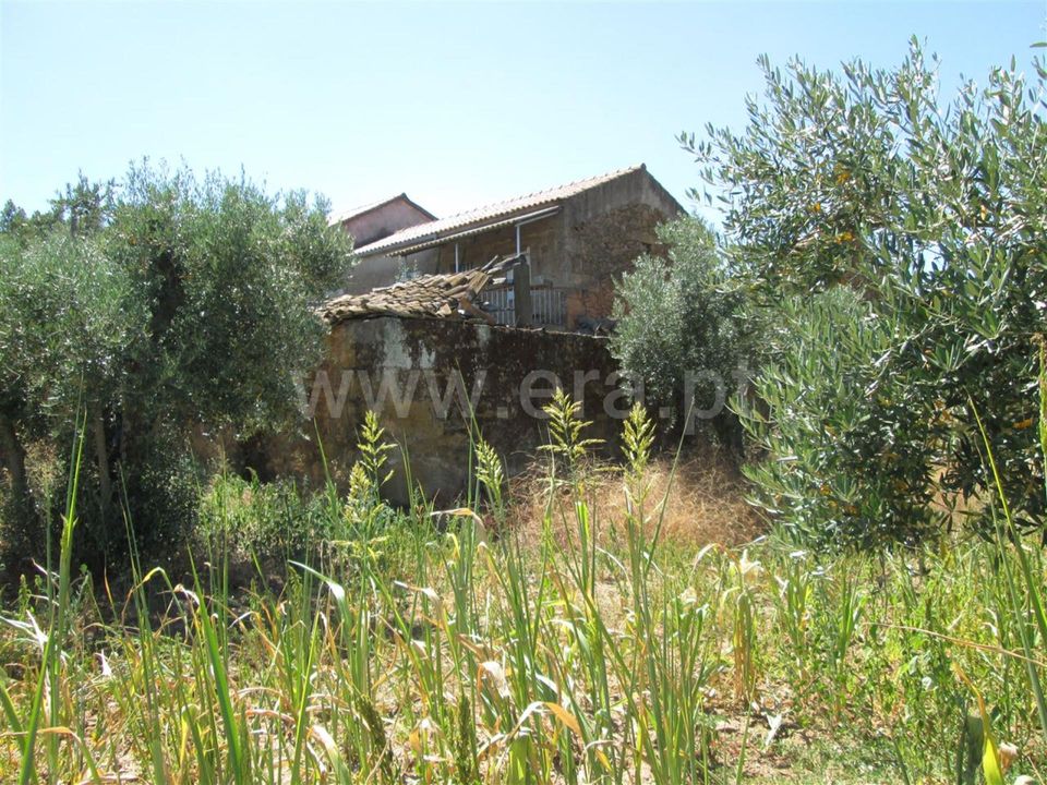 Farm i Fundao, Castelo Branco - foto 5