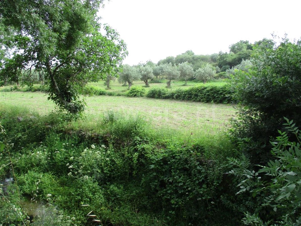 Erhvervsejendom i Fundao, Castelo Branco - foto 3