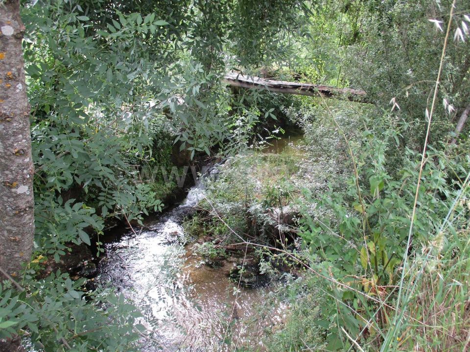 Erhvervsejendom i Fundao, Castelo Branco - foto 4