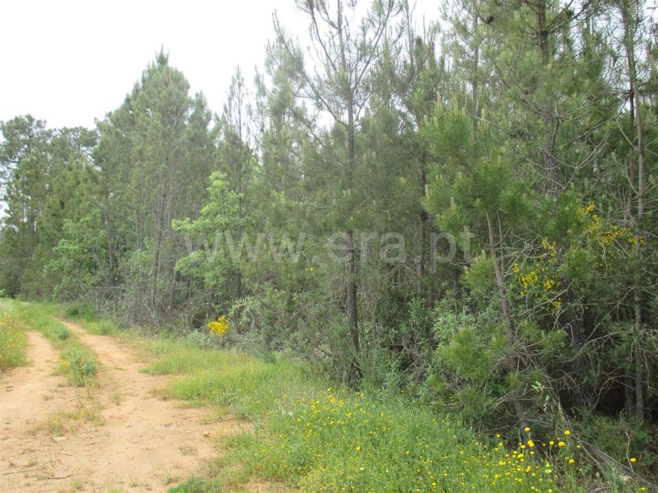 Helårsgrund i Fundao, Castelo Branco - foto 1