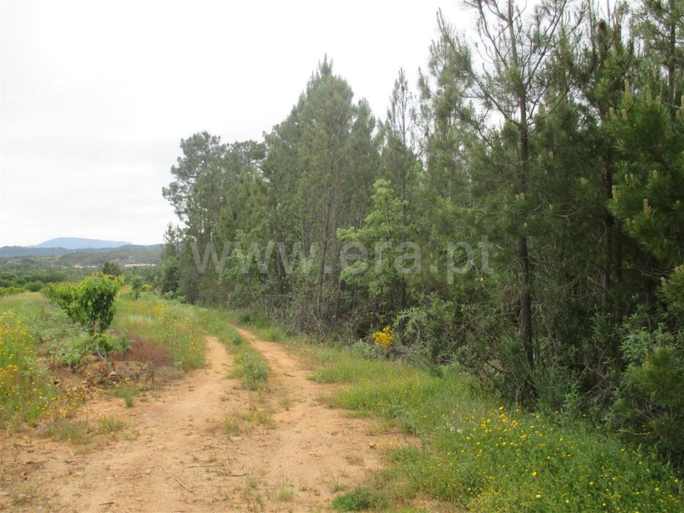 Helårsgrund i Fundao, Castelo Branco - foto 2
