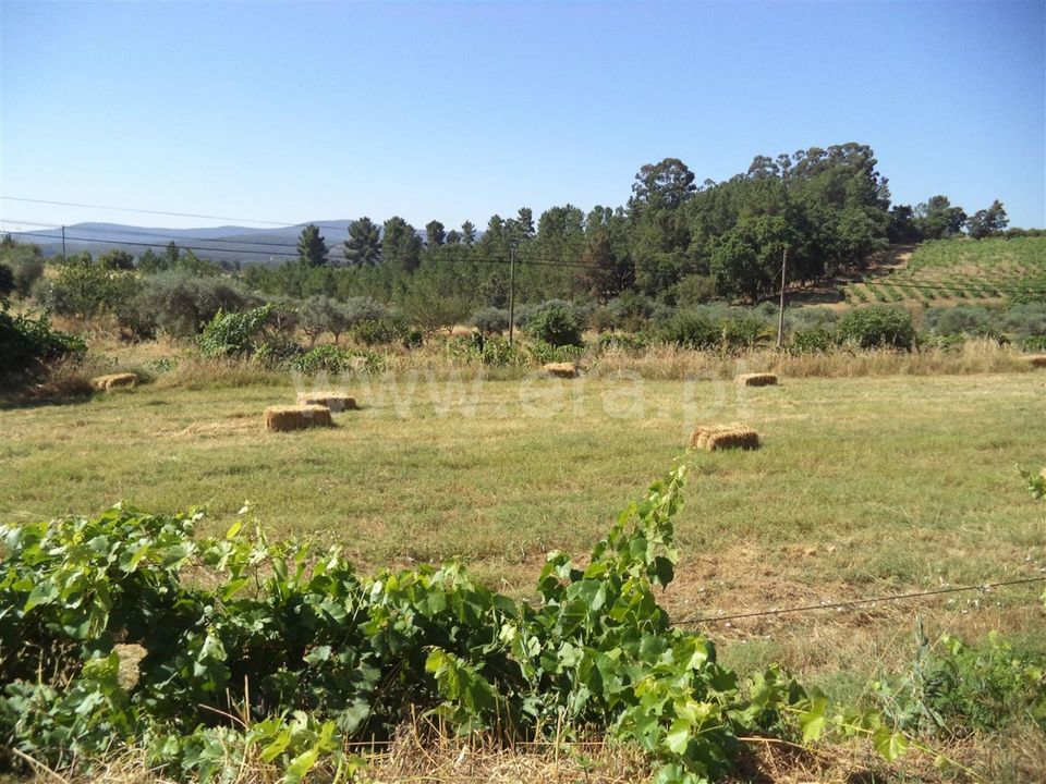 Farm i Fundao, Castelo Branco - foto 1