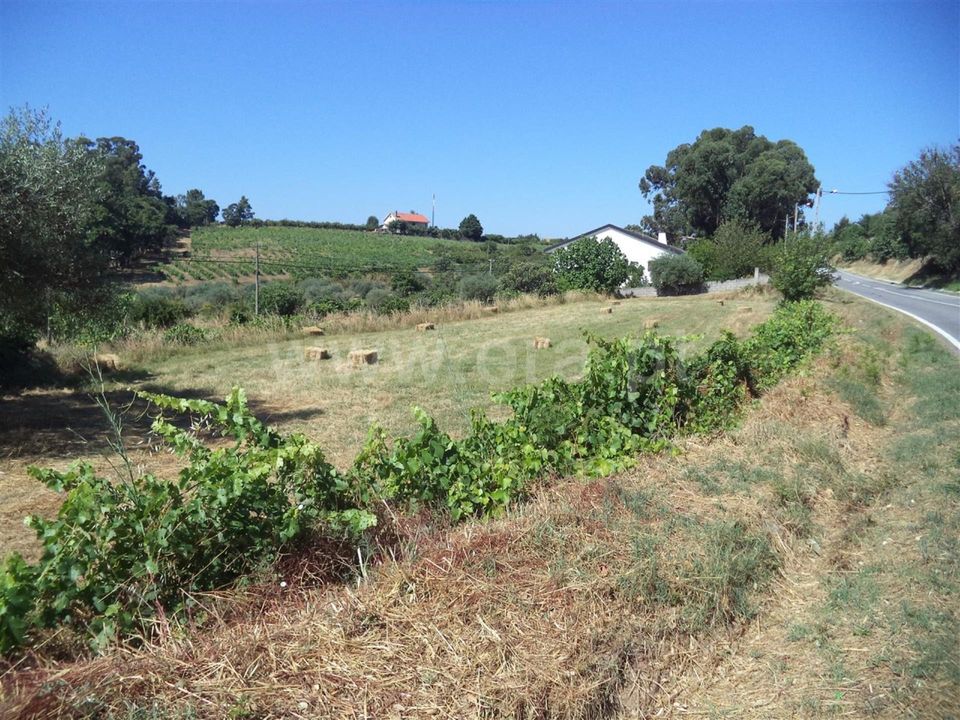 Farm i Fundao, Castelo Branco - foto 2