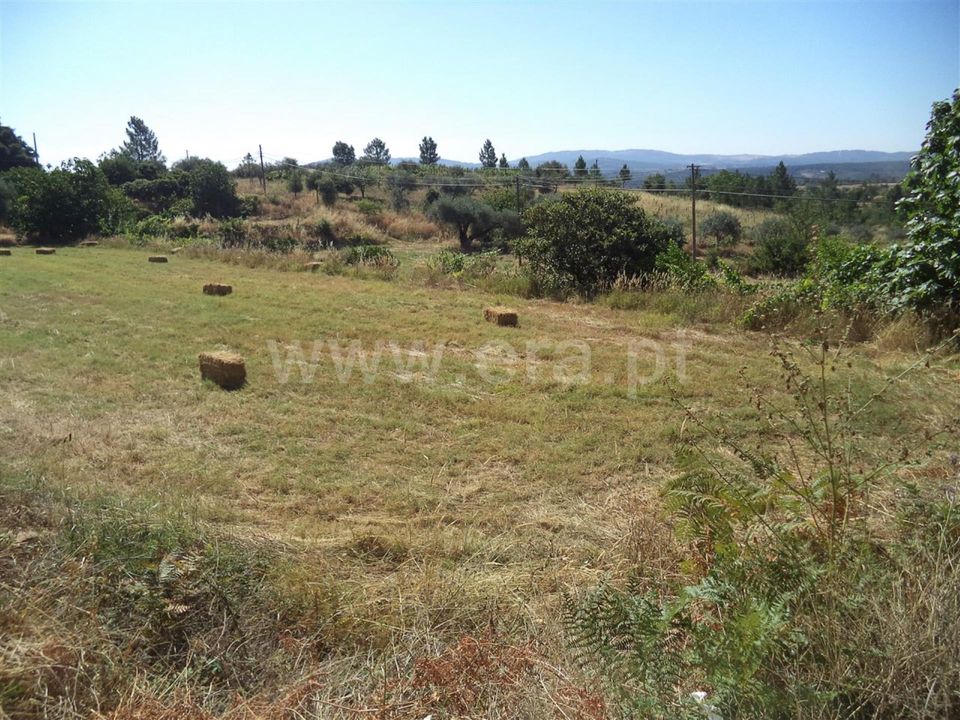 Farm i Fundao, Castelo Branco - foto 4