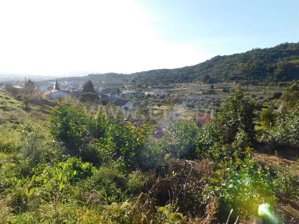 Tomt i Fundao, Castelo Branco - bilde 1