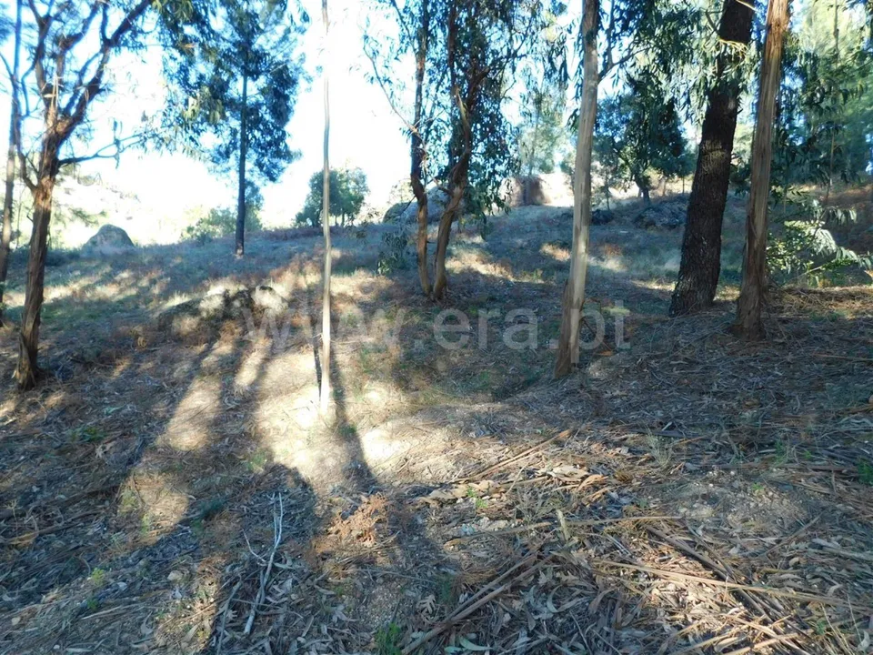 Tomt i Fundao, Castelo Branco - bilde 2