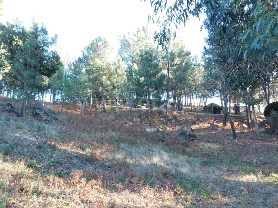 Tomt i Fundao, Castelo Branco - bilde 4