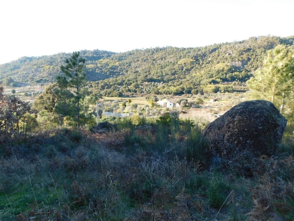 Tomt i Fundao, Castelo Branco - bilde 5