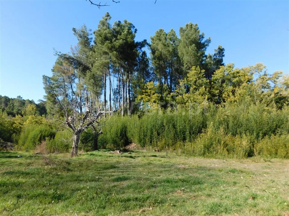 Helårsgrund i Fundao, Castelo Branco - foto 1