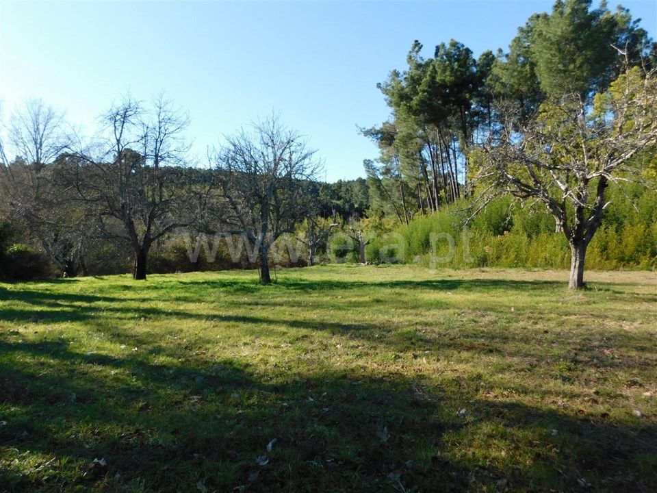 Helårsgrund i Fundao, Castelo Branco - foto 2