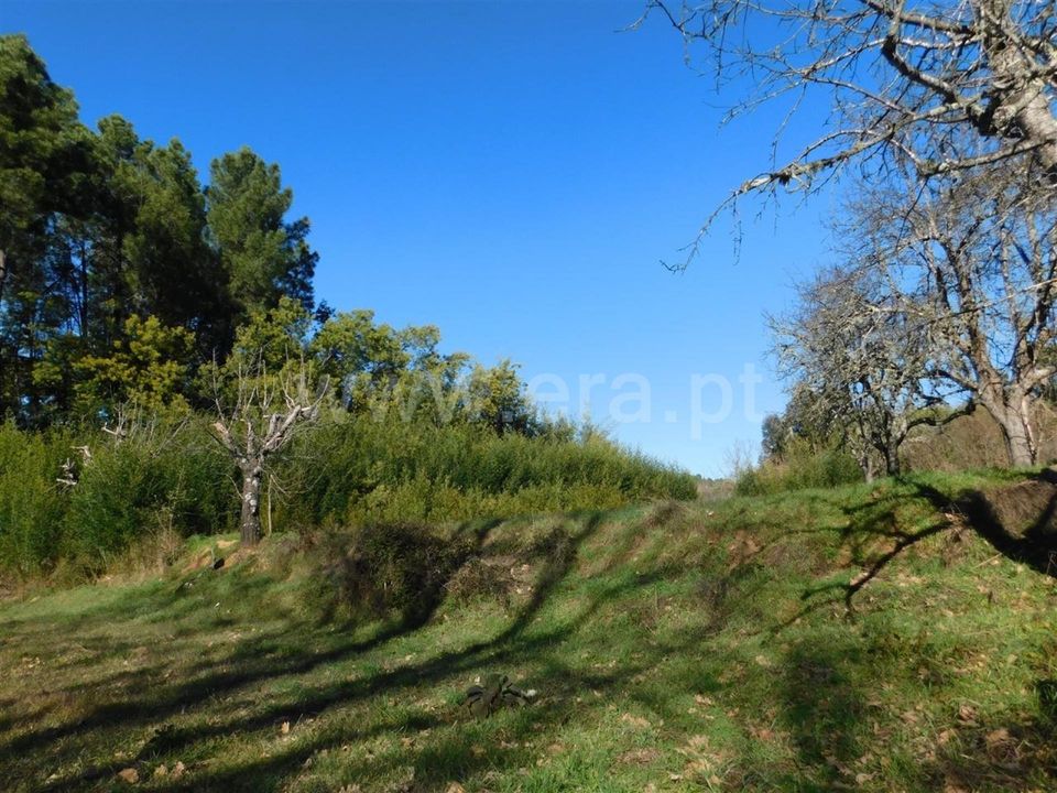 Helårsgrund i Fundao, Castelo Branco - foto 3