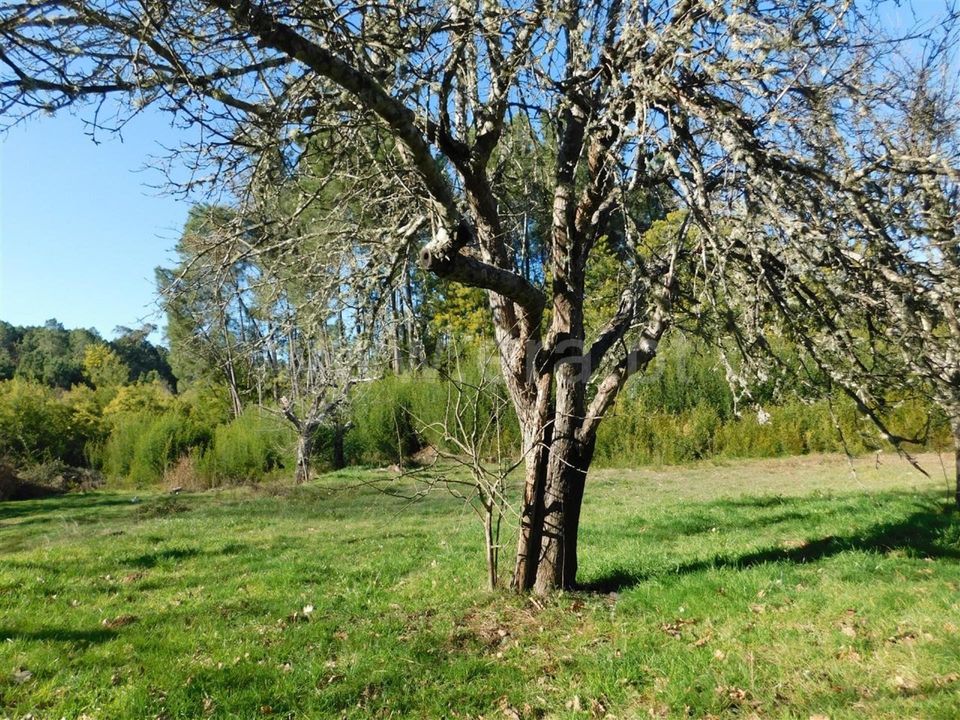 Helårsgrund i Fundao, Castelo Branco - foto 5