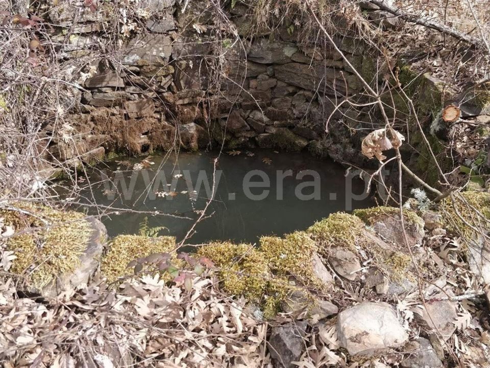 Tomt i Fundao, Castelo Branco - bilde 3