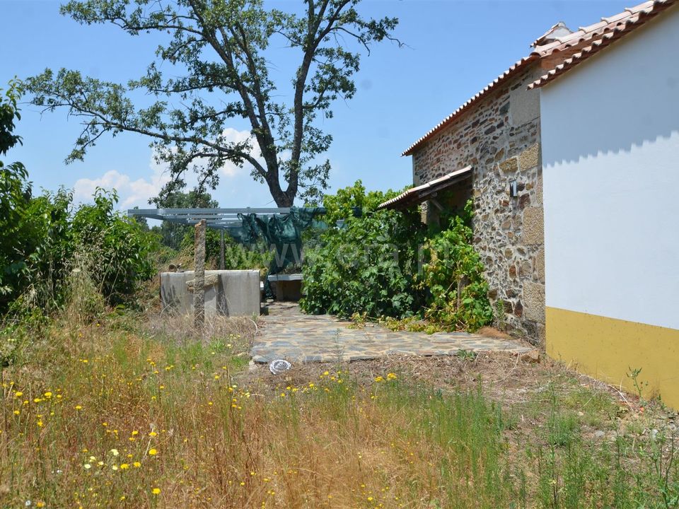 Tomt i Fundao, Castelo Branco - bilde 3