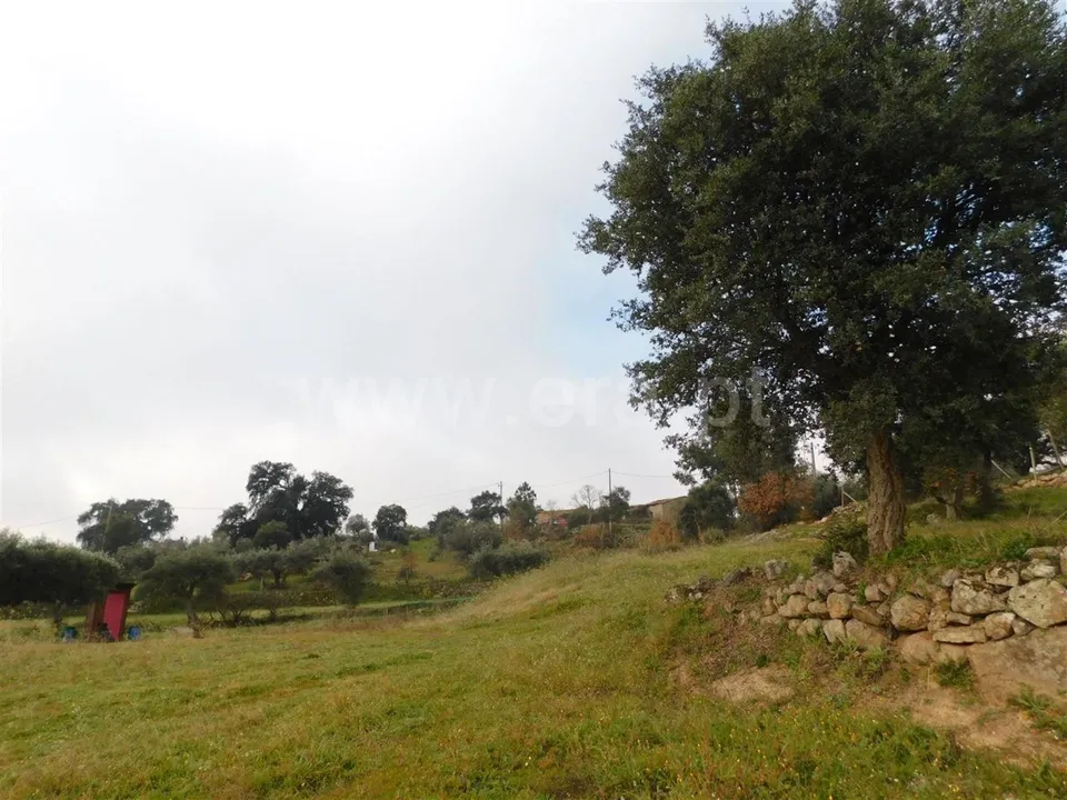 Gård i Fundao, Castelo Branco - bilde 5
